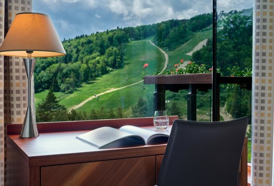 hotel **** - Hotel SPA Dr Irena Eris Krynica Zdrój 12+ - Pokoje - zdjęcie 2