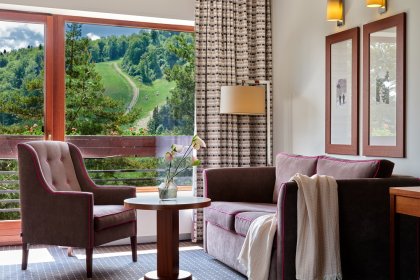 hotel **** - Hotel SPA Dr Irena Eris Krynica Zdrój 12+ - zdjęcie 4