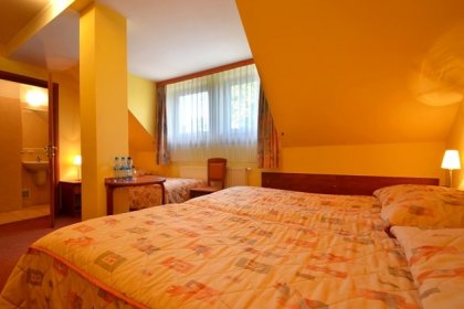hotel *** - Hotel Eva*** - zdjęcie 3