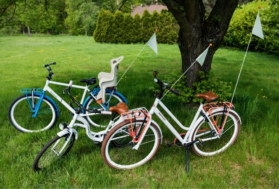 hotel **** - Hotel Prezydent**** - Usługi - zdjęcie 7