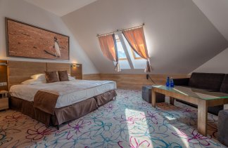 hotel **** - Hotel Czarny Groń - zdjęcie 1 