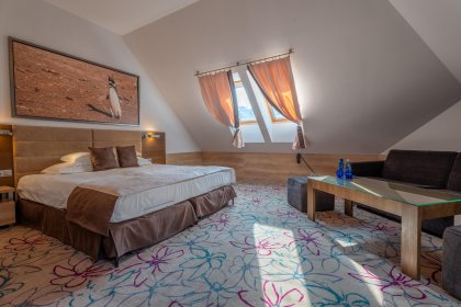 hotel **** - Hotel Czarny Groń - zdjęcie 12