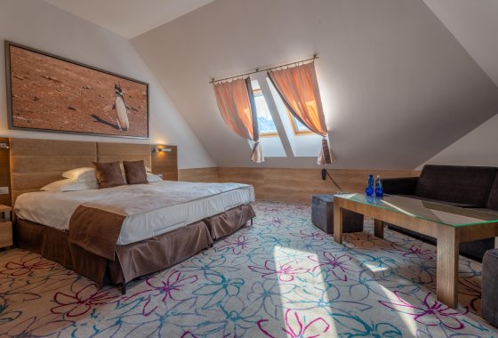 hotel **** - Hotel Czarny Groń - Pokoje - zdjęcie 1