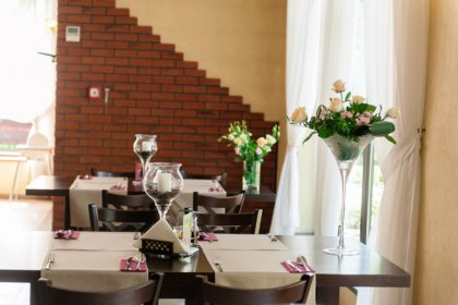 hotel *** - Hotel & Restauracja Podzamcze - zdjęcie 9