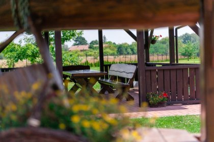 hotel *** - Hotel & Restauracja Podzamcze - zdjęcie 4