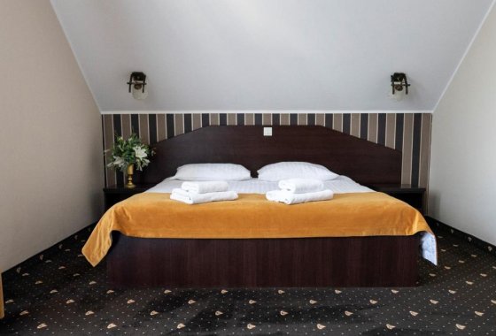 hotel *** - Hotel & Restauracja Podzamcze - Pokoje - zdjęcie 1