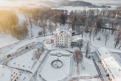 pałac - Pałac Wojanów - zdjęcie 10