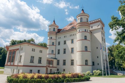 pałac - Pałac Wojanów - zdjęcie 12