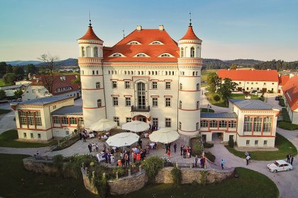 pałac - Pałac Wojanów - zdjęcie 14