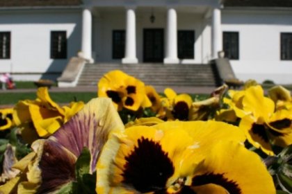 dworek - Centrum Kultury Dworek Białoprądnicki - zdjęcie 5