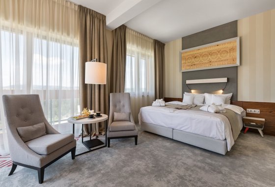 hotel **** - Hotel Kopieniec Fizjo-Med & Spa **** - Pokoje - zdjęcie 1