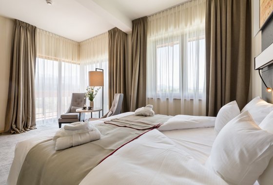 hotel **** - Hotel Kopieniec Fizjo-Med & Spa **** - Pokoje - zdjęcie 10