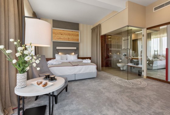 hotel **** - Hotel Kopieniec Fizjo-Med & Spa **** - Pokoje - zdjęcie 9