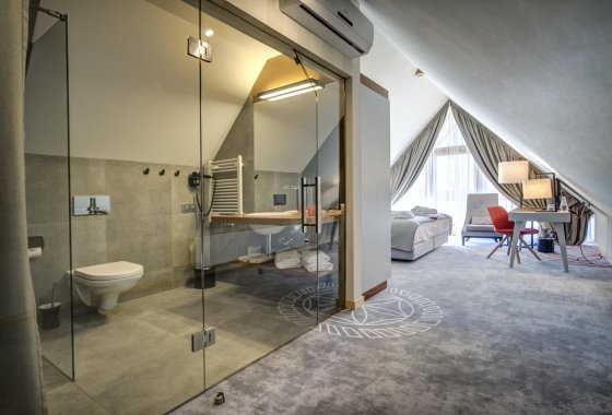 hotel **** - Hotel Kopieniec Fizjo-Med & Spa **** - Pokoje - zdjęcie 7