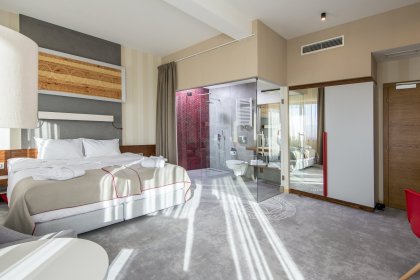hotel **** - Hotel Kopieniec Fizjo-Med & Spa **** - zdjęcie 15