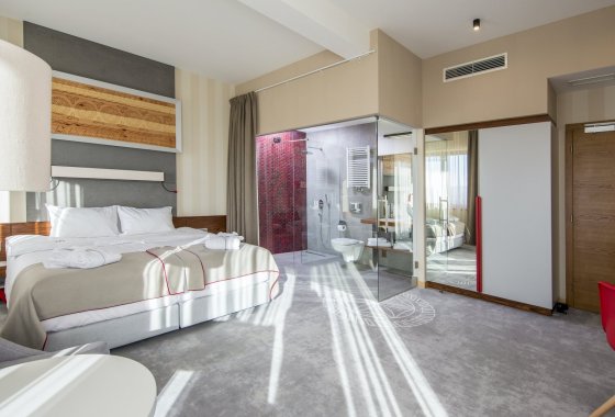 hotel **** - Hotel Kopieniec Fizjo-Med & Spa **** - Pokoje - zdjęcie 11