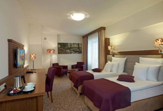hotel **** - Mercure Krynica Zdrój Resort & SPA - Pokoje - zdjęcie 1