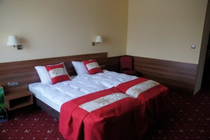 hotel **** - Hotel Cristal Park **** Dąbrowa Tarnowska - zdjęcie 8