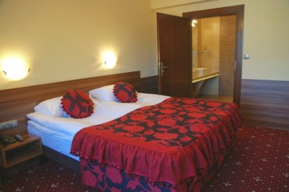 hotel **** - Hotel Cristal Park **** Dąbrowa Tarnowska - zdjęcie 12