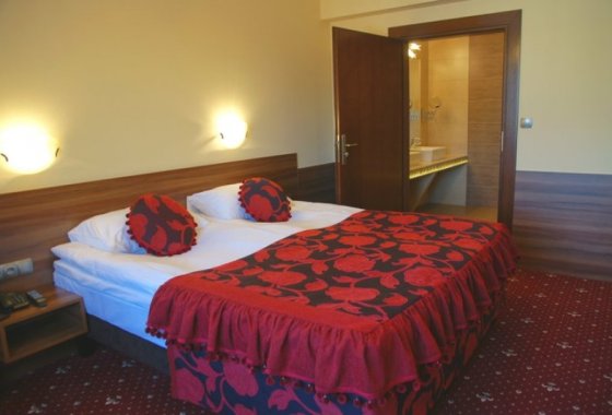 hotel **** - Hotel Cristal Park **** Dąbrowa Tarnowska - Pokoje - zdjęcie 5