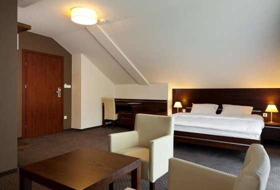 hotel *** - Restauracja I Hotel Podzamcze*** - Pokoje - zdjęcie 2