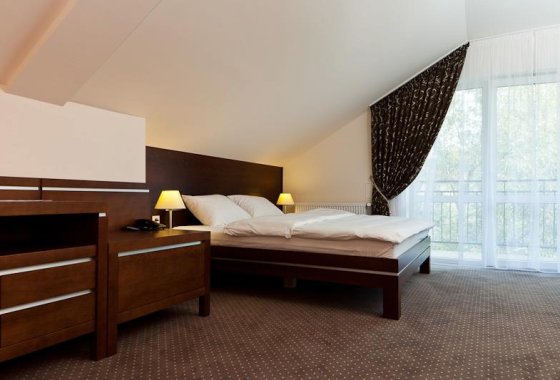 hotel *** - Restauracja I Hotel Podzamcze*** - Pokoje - zdjęcie 3