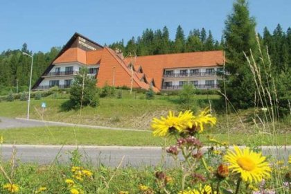 hotel - Dom Wypoczynkowy Pod Taborem - zdjęcie 3
