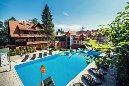 hotel *** - Hotel Modrzewiówka*** - zdjęcie 2
