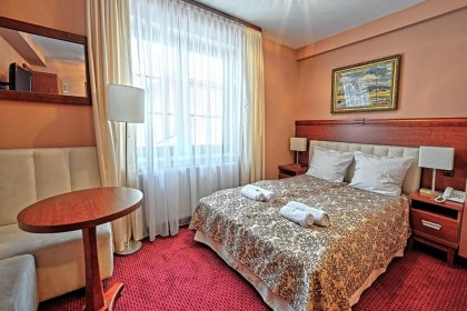hotel *** - Hotel Modrzewiówka*** - zdjęcie 6