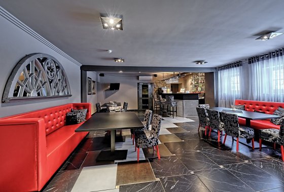 hotel *** - Hotel Modrzewiówka*** - Usługi - zdjęcie 1