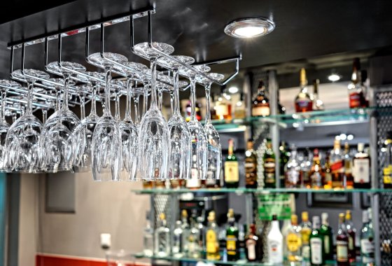 hotel *** - Hotel Modrzewiówka*** - Usługi - zdjęcie 11
