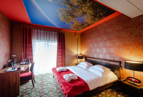 hotel **** - Centrum Hotelowo-Konferencyjne Hotel Lenart **** - Pokoje - zdjęcie 1