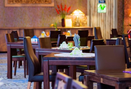 hotel **** - Centrum Hotelowo-Konferencyjne Hotel Lenart **** - Usługi - zdjęcie 12