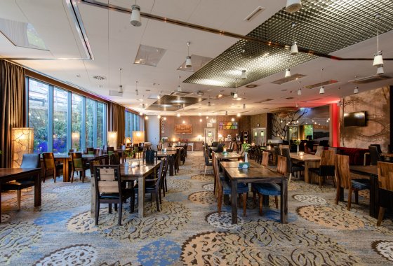 hotel **** - Centrum Hotelowo-Konferencyjne Hotel Lenart **** - Usługi - zdjęcie 8