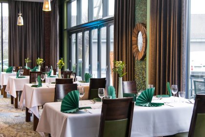 hotel **** - Centrum Hotelowo-Konferencyjne Hotel Lenart **** - zdjęcie 40