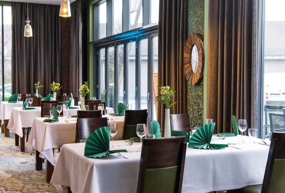 hotel **** - Centrum Hotelowo-Konferencyjne Hotel Lenart **** - Usługi - zdjęcie 6