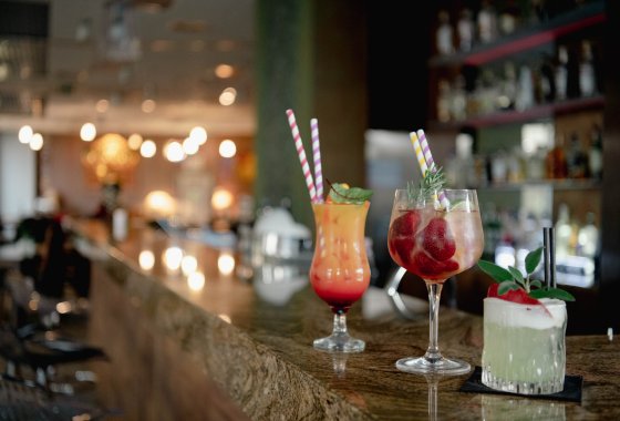 hotel **** - Centrum Hotelowo-Konferencyjne Hotel Lenart **** - Usługi - zdjęcie 9