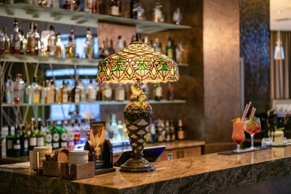 hotel **** - Centrum Hotelowo-Konferencyjne Hotel Lenart **** - zdjęcie 44
