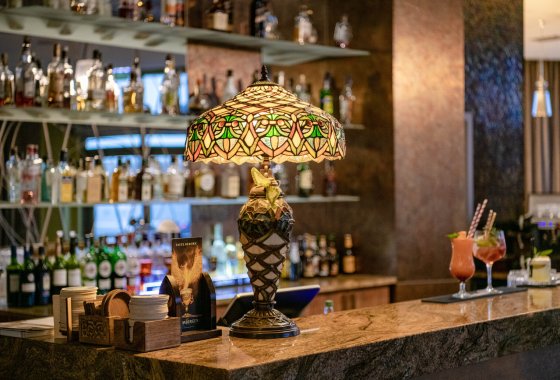 hotel **** - Centrum Hotelowo-Konferencyjne Hotel Lenart **** - Usługi - zdjęcie 10