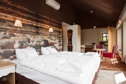 hotel **** - Hotel Piwniczna SPA&Conference - zdjęcie 11