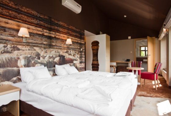 hotel **** - Hotel Piwniczna SPA&Conference - Pokoje - zdjęcie 3