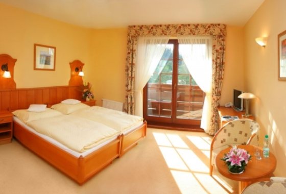 hotel **** - Hotel Alpejski - Pokoje - zdjęcie 1