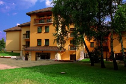 hotel - Hotel Restauracja Victoria - zdjęcie 1