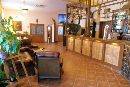 hotel - Hotel Piastun Spa & Wellness - zdjęcie 5