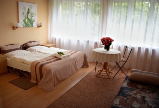 hotel - Hotel Pod Dębami Myślenice - Pokoje - zdjęcie 1