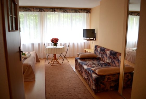 hotel - Hotel Pod Dębami Myślenice - Pokoje - zdjęcie 3
