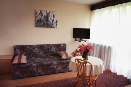 hotel - Hotel Pod Dębami Myślenice - zdjęcie 4