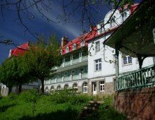 Rzemieślnik