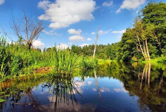 hotel *** - Hotel Kopczyński - Usługi - zdjęcie 1