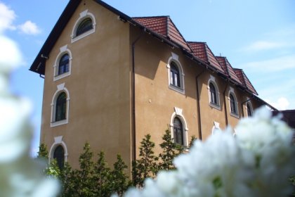 dworek - Dworek Mitro - zdjęcie 2